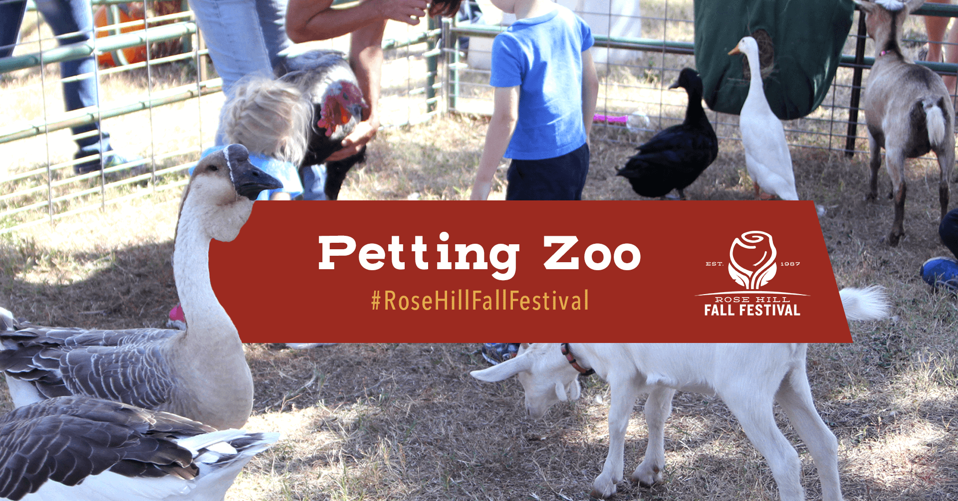 Petting Zoo and Pony Rides - Rose Hill Fall Festival