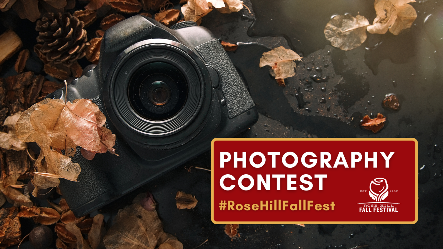 Rose Hill Fall Festival 2nd Full Weekend In October